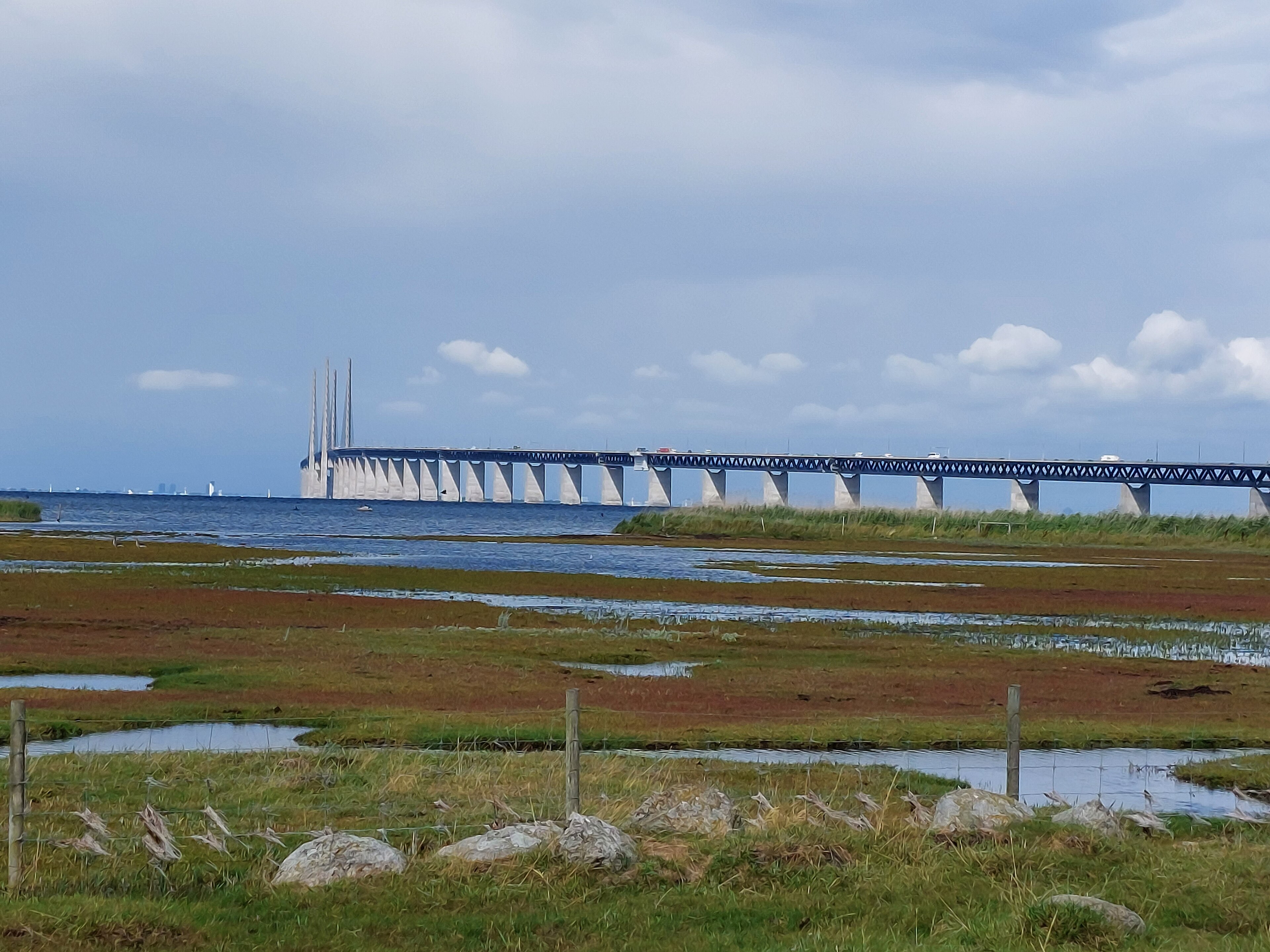 The Oresund Bridge leaving the shore at Lernacken on the Swedish side