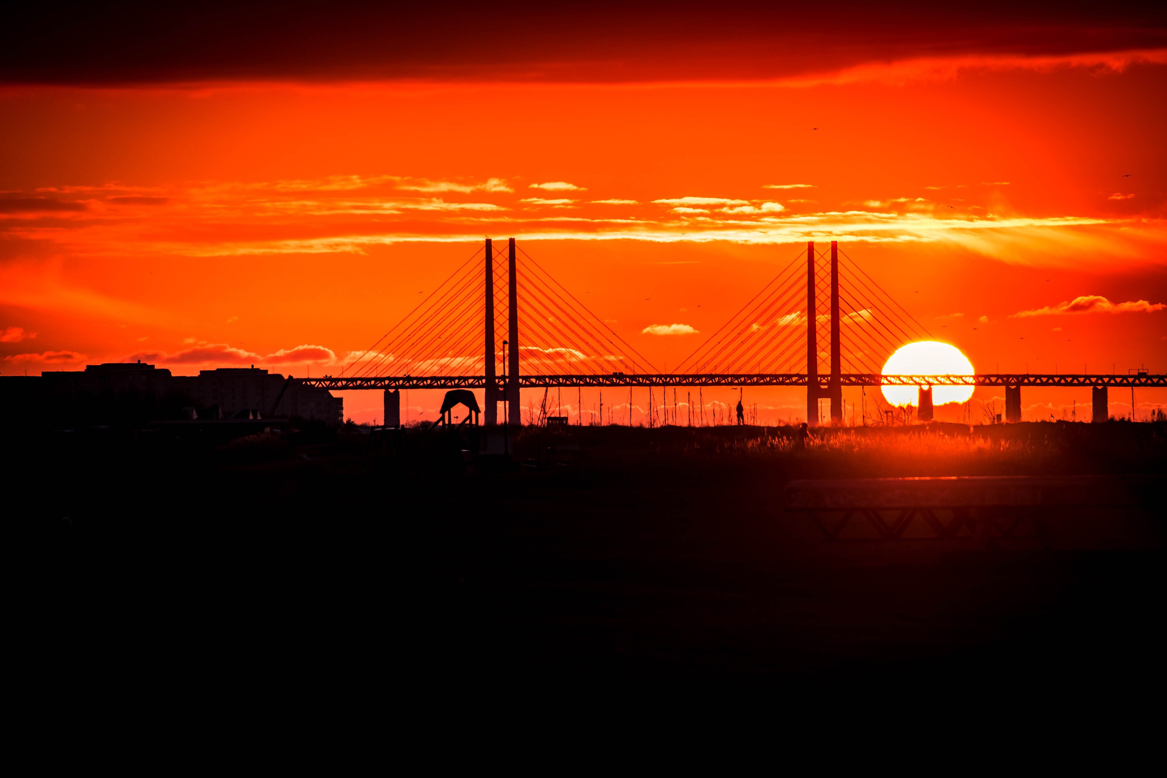 The Oresund Bridge seen over the water in evening light, cable-stayed span and pylons clear of the horizon